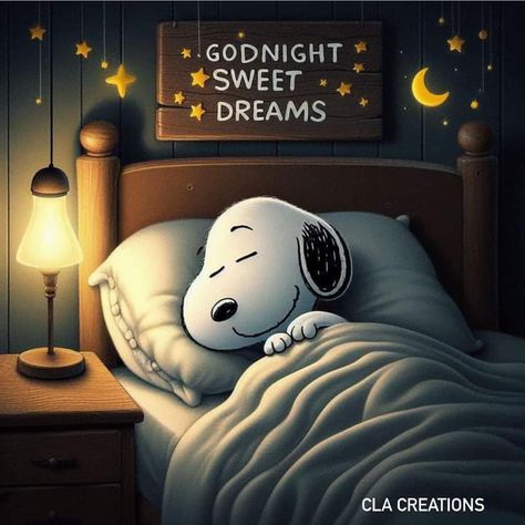 Good Morning Gif Funny, Goodnight Sweet Dreams, Goodnight Snoopy, Snoopy Hug, Good Night Qoutes, Snoopy Tattoo, Good Morning Snoopy, Peanuts Charlie Brown Snoopy, Snoopy Cartoon