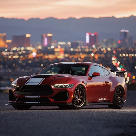 2024 Shelby Super Snake Mustang Super Snake, Mustang Gtr, Shelby Super Snake, Punisher Skull American Flag, Sports Cars Mustang, Super Snake, Ford Roadster, Cool Car Pictures, Ford Mustang Shelby