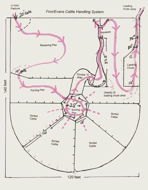 Cattle flow Corrals For Cattle, Corral Designs Cattle, Small Cattle Working Pens, Cattle Handling Systems, Cattle Facility, Showing Beef Cattle, Livestock Fence, Cattle Corrals, Beef Cow