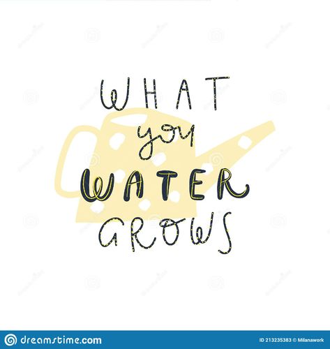 Vector Lettering Style Handwritten Quote : What You Water Grows Stock Vector - Illustration of human, growth: 213235383 What You Water Grows Quote, What You Water Grows, Grow Quotes, Grow Quote, Handwritten Quote, Growing Quotes, Water Quotes, Banner Illustration, Handwritten Quotes