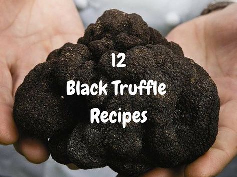 Black Truffle Salt Recipes, Fresh Truffle Recipe, Truffle Sauce Recipe, Black Truffle Recipe, Truffle Oil Recipes, Black Truffle Oil, Truffle Recipes, Black Truffles, Mushroom Recipes Healthy