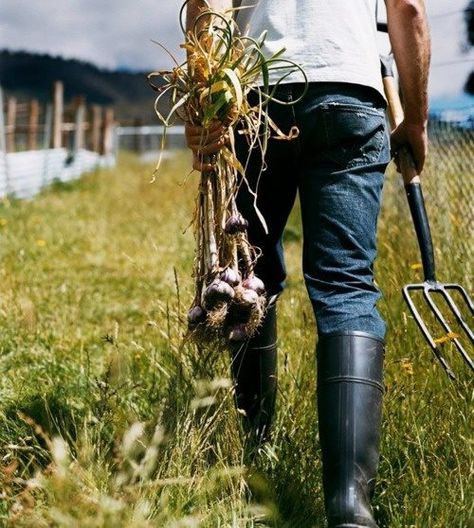 ... Photo Food, First Day Of Spring, Farms Living, Down On The Farm, Rural Life, Back To Nature, Kitchen Garden, Family Farm, Country Life