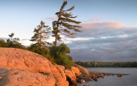 Georgian Bay Islands National Park, Ontario Provincial Parks, Ontario Parks, Lone Pine, Georgian Bay, Bay Photo, Parks Canada, Lake Huron, Camping Experience