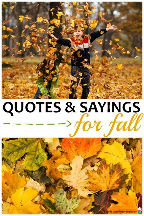 Fall Quotes and Sayings for scrapbooking will get your fall layouts going. This huge list of fall titles are so fun for autumn scrapbook pages! via @sweeterbydesign Fall Sentiments For Cards, Inspiring Fall Quotes, Fall Greetings Sayings, Scarecrow Sayings, Fall Family Quotes And Sayings, Fall Family Quotes, Cute Fall Quotes And Sayings, Fall Sayings Quotes Autumn, Fall Signs And Sayings