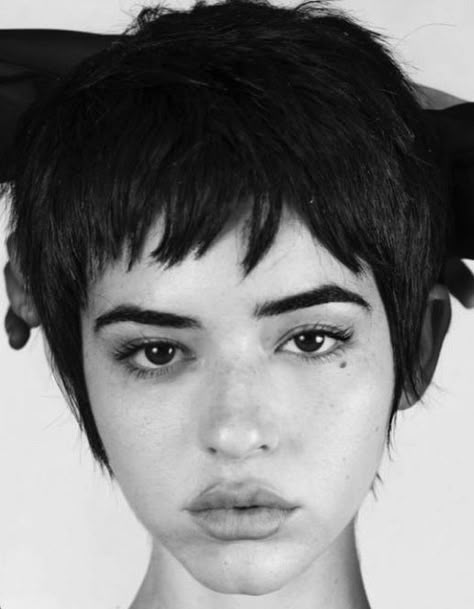 Hairstyle Short Hair, Hairstyle Short, Short Haircuts For Women, Haircuts For Women, Curly Hairstyles, Short Haircuts, Pixie Cut, Short Hairstyles, Hair Cut