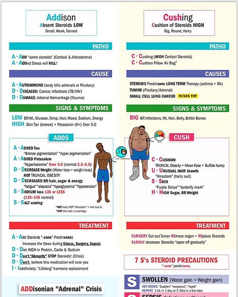 How to do I memorize the signs & symptoms of Addisons vs Cushing syndrome? Simply remember “ADDs & CUSH” 🤓📝 Get this new “cheat sheet”… Nursing Med Surg, Endocrine Nursing, Cushing Syndrome, Endocrine System Nursing, Pathophysiology Nursing, Simple Nursing, Nclex Tips, Paramedic School, Cushings Syndrome