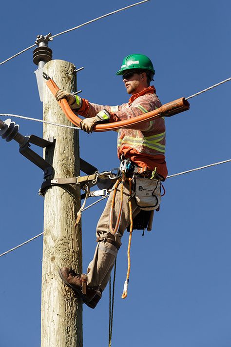 Electric Man, Tree Lopping, Electrical Lineman, Algonquin College, Senior Citizen Discounts, Tree Removal Service, Stump Removal, Dangerous Jobs, Tree Pruning