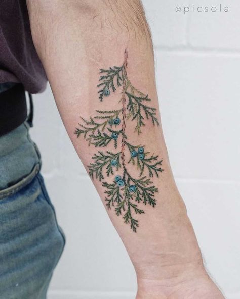 Juniper branch tattoo by tattooist picsola - Tattoogrid.net