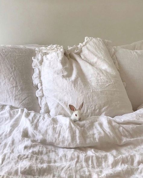 A Bunny, Bed, On Instagram, White, Instagram