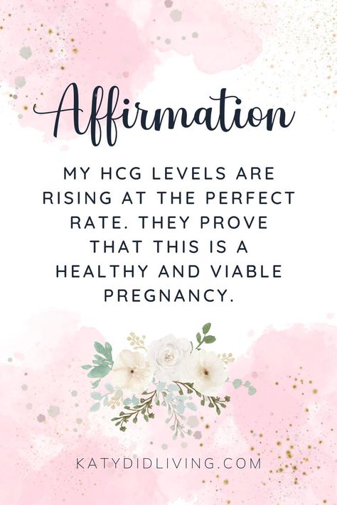 Going through a pregnancy can be a joyful yet challenging experience. Whether you're in your first trimester, trying to conceive, or simply want to set a positive mindset, positive affirmations can help you navigate this rewarding journey. These Positive Pregnancy Affirmations include a variety of affirmations for all trimesters, so you can stay focused on creating the pregnancy experience that works best for you. Positive Pregnancy Quotes, Positive Pregnancy Affirmations, Fertility Quotes, Pregnancy Prayer, Pregnancy Workout Plan, Hcg Levels, Pregnancy Affirmations, Pregnancy First Trimester, Prayer For Baby