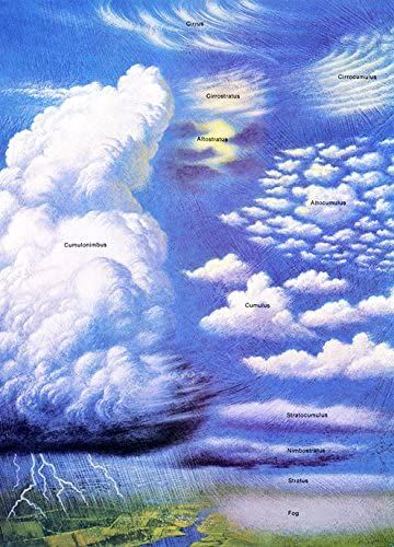 Amazon.com: Clouds Poster, Cloud Classification Poster, Weather, Lightning, Clouds, Stratus, Cirrus, Cumulonimbus: Prints: Posters & Prints Cloud Classification, Clouds Types, Creative Color Wheel, Draw With Colored Pencils, Cumulonimbus Clouds, Lightning Clouds, Cirrus Cloud, Cloud Type, Weather Art