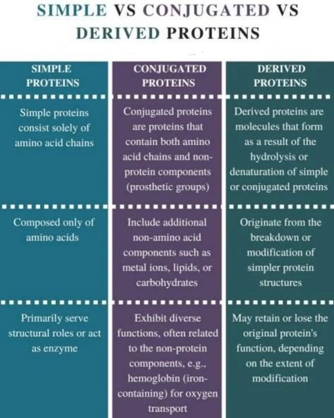 Types of Proteins #protein #proteinclassification #biology #lifescience #neetbiologynotes #neetexam #reelsviral Neet Exam, Life Science, Biology, Quick Saves