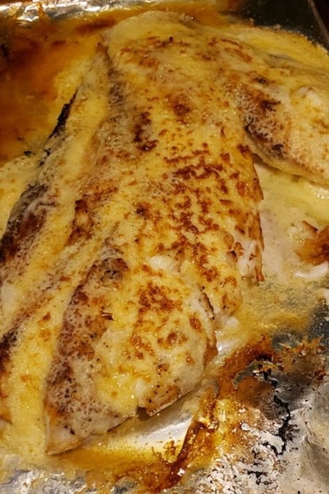 Upscale Fish Recipes, Keto Grouper Recipes, Broiled Grouper Recipes, Grouper Parmesan, How To Cook Grouper, Fresh Grouper Recipes, Easy Grouper Recipes, Best Grouper Fish Recipes, Baked Grouper Recipes