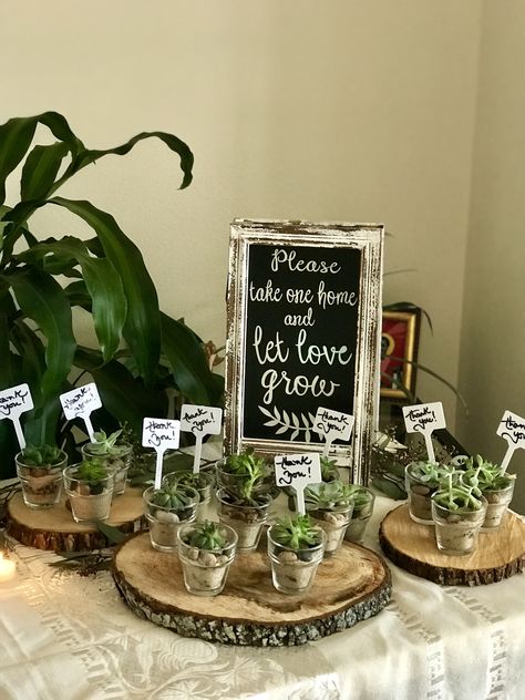 Bachlorette Party Plant Theme, Plant Themed Bridal Shower Ideas, Plant Bridal Shower Theme, Bridal Shower Theme Plants, Plant Bridal Shower Favors, Plant Wedding Souvenir, Succulent Business, Themed Bridal Shower Ideas, Rip 20s