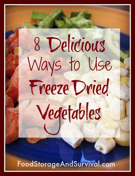 Prepper Food Storage, Oven Dried Strawberries, Preppers Food Storage, Freeze Dried Food Storage, Freeze Dried Vegetables, Best Freeze Dried Food, Prepper Food, Thrive Recipes, Freeze Dried Raspberries