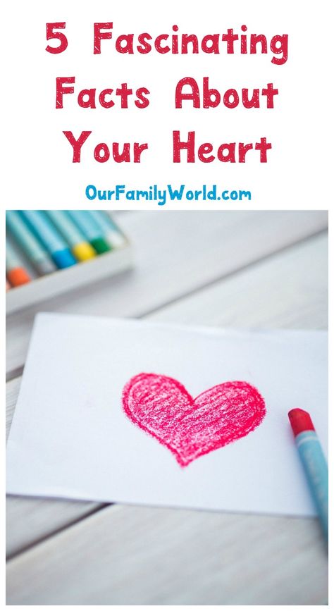 Celebrate Heart Month by getting to know your hardest working organ with these five fascinating facts about your heart + the signs of a heart attack. Read it now! #ad Heart Facts, Blood Sugar Tracker, Heart Month, Doctor Advice, Blood Sugar Diet, Health And Fitness Magazine, Healthy Diet Tips, Daily Health Tips, Fascinating Facts