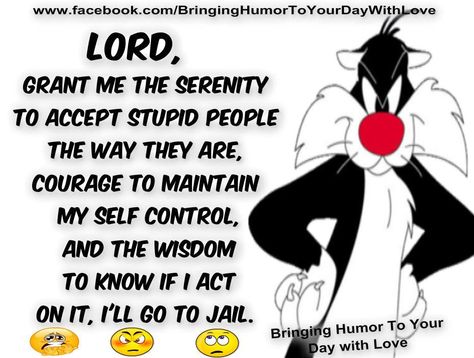 I have a zero tolerance policy for stupidity. Grant Me Patience, The Diva, Serenity Prayer, Have A Laugh, Self Control, Love My Job, Thoughts Quotes, Inspirational Words, Wise Words