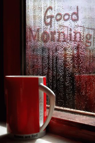 Good Morning Rain GIF - GoodMorning Rain Cup - Discover & Share GIFs Good Morning Rain, Rainy Good Morning, Beautiful Morning Pictures, Good Morning Rainy Day, Good Morning Gift, Rain And Coffee, Lovely Good Morning Images, Good Morning Arabic, Good Morning Coffee Gif