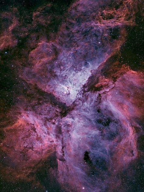 Eta Carinae Nebula, Eta Carinae, Pink Nebula, Nebulas, Carina Nebula, Nasa Space, Oil Pastel Art, Space Images, Space Nasa