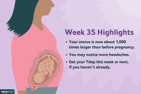 Labor Symptoms, Pregnant Symptoms, Stages Of Baby Development, Baby In Womb, 40 Weeks Pregnant, 24 Weeks Pregnant, 33 Weeks Pregnant, 35 Weeks Pregnant, 34 Weeks Pregnant