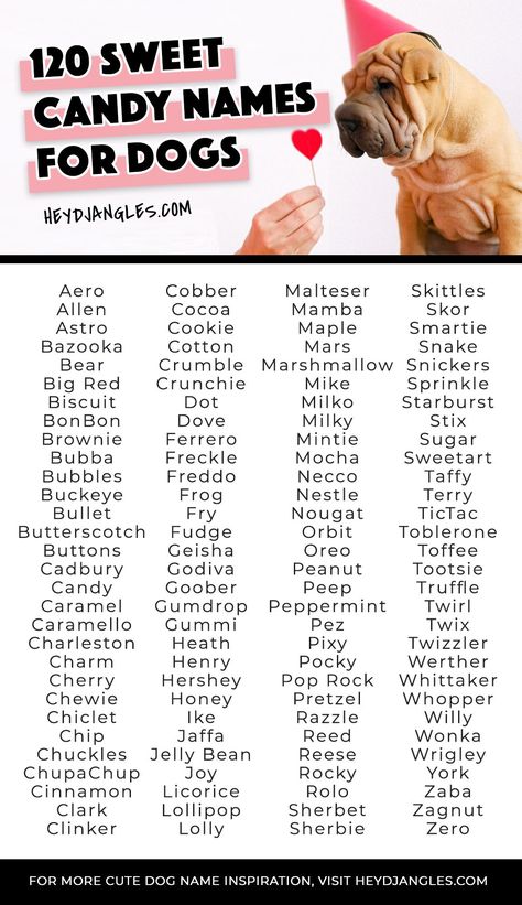 Candy Names Ideas, Name For Pets, Puppy Litter Theme Names, Dog Names Food Related, Name Dog Boy, Girl Dogs Name, Chocolate Names, Cute Animal Names, Butterscotch Fudge