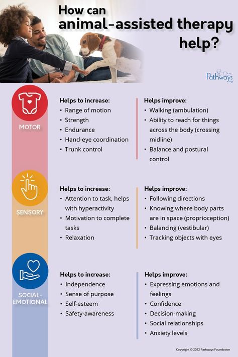 Looking to learn more about the benefits of animal assisted therapy (pet therapy)? Find out how incorporating animals into therapy can increase a child's motivation to complete therapy goals. #animalassistedtherapy #animaltherapy #therapy #occupationaltherapy #pediatrictherapy #physicaltherapy #pettherapy #earlyintervention #kidshealth #pediatrics Animal Therapy Activities, Animal Assisted Therapy, Therapy Goals, Animal Therapy, Therapeutic Recreation, Expressing Emotions, Safety Awareness, Pediatric Therapy, Mental Health Therapy