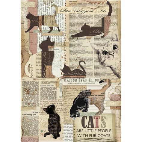 Stamperia Rice Paper, Decopage Paper, Cats Kunst Collages, Decoupage Crafts, Cat Collage, Arte Doodle, Postal Vintage, Paper Collage Art, Newspaper Crafts, Scrapbook Stickers Printable, Printable Scrapbook Paper