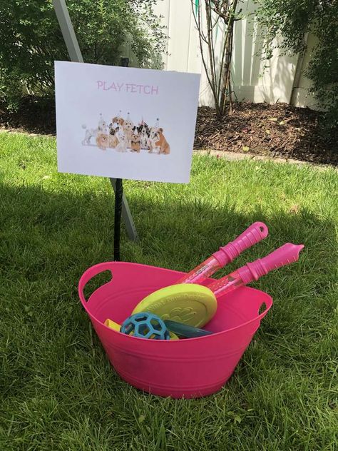 Adopt A Puppy Birthday Party, Puppy Pool, Puppy Crafts, Dog Backyard, Pool Party Themes, Park Birthday, Puppy Birthday Parties, Backyard Birthday, Birthday Party Crafts