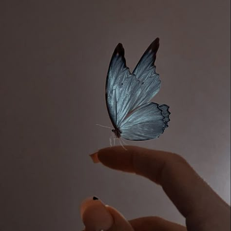 Butterfly Clip Aesthetic, Flying Butterfly Craft, Blueish Aesthetic, Butterfly Side Profile, Butterfly On Finger, Butterfly Hybrid, Butterfly Side View, Animal Pfps, Butterfly Pfp