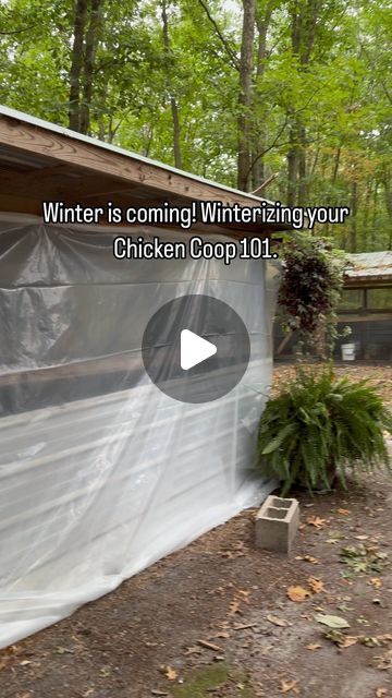 Jersey Silkies | Lavern Clarke on Instagram: "Today I spend my day trying to get an early start on winterizing our chicken coop,with plastic is an effective way to keep your flock warm and dry during the cold months. Here are some tips to help you do it:  Why Use Plastic?  Plastic sheeting or tarps can provide:  1. Wind protection 2. Water resistance 3. Insulation 4. Easy cleanup 5. Provide natural light.   Materials Needed:  🐣🥶Plastic sheeting or tarps (6-8 mil thickness)from Home Depot.  🐣🥶 Wire or zip ties 🐣🥶 Scissors 🐣🥶 Tape (optional)  🐣🌱 don’t forget to like save and sprinkle with friends!" Winter Shelter For Chickens, Winterizing Chicken Coop Run, Chicken Coop Cover, Winter Proof Chicken Run, Chicken Coop Winterizing, Winterizing Chicken Run, Winterize Chicken Run, How To Winterize Chicken Coop, Winterized Chicken Coop