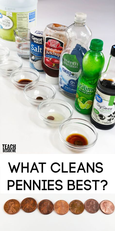 Science Experiment: How to Clean Pennies - Teach Beside Me Physical Science Experiments, How To Clean Pennies, Kids Science Fair Projects, School Science Experiments, School Science Projects, Science Classroom Decorations, Sink Or Float, Deep Cleaning Hacks, Kid Experiments