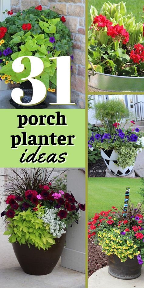 Are you looking for ideas and inspiration for your summer planters? These are all flower pots that I have personally seen and photographed. Outdoor Plant Pot Ideas, Summer Containers Planters, Plant Arrangements Outdoor, Patio Planter Ideas Plant Pots, Potted Flowers For Patio, Outdoor Flower Pot Ideas, Creative Flower Pot Ideas, Flower Pot Arrangements, Planter Flowers