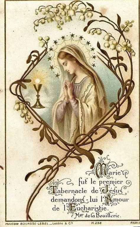 Reconciliation Catholic, Chapel Veil Catholic, Virgin Mary Art, Vintage Holy Cards, The Eucharist, Virgin Mary Statue, Catholic Images, Christ The King, Bride Of Christ