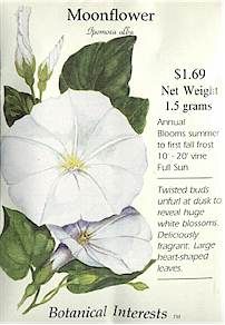 Moonflower Garden, Cottage Garden Flowers, Flowers At Home, Flower Seeds Packets, When To Plant, Flower Guide, Flower Meanings, Moon Garden, Garden Guide