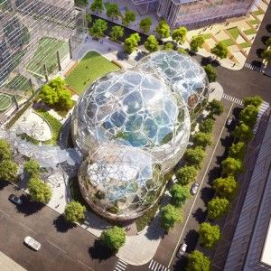 Amazon wins approval for Seattle headquarters  inside giant orb-shaped greenhouses Indoor Tree House, Indoor Tree, Build A Greenhouse, Home Greenhouse, Renzo Piano, Downtown Seattle, The Windy City, Urban Jungle, Office Building