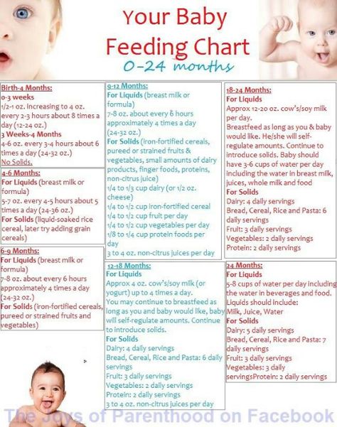 Baby Feeding Chart- I find this very helpful.  I've witnessed a lot of mothers over-feeding their babies and I want to make sure that I know what is appropriate at each age. Baby Feeding Chart, Breastfeeding Essentials, Toddler Stuff, Baby Eating, Baby Tips, Homemade Baby, Baby Time, Everything Baby, Mommy Life