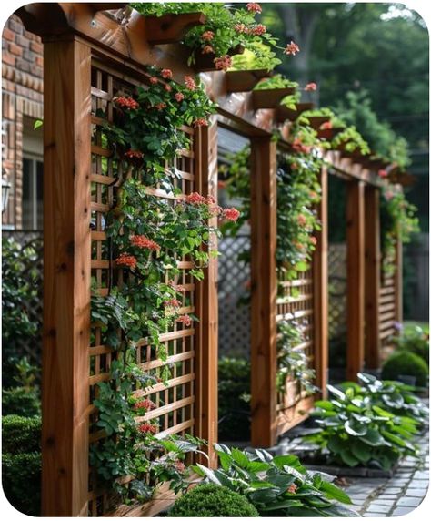 Trellis Ideas For Privacy, Trellis Ideas Garden, Outdoor Trellis Ideas, Wooden Garden Trellis, Big Leaf Plants, Garden Trellis Ideas, Arbor Trellis, Side Yard Landscaping, Outdoor Trellis