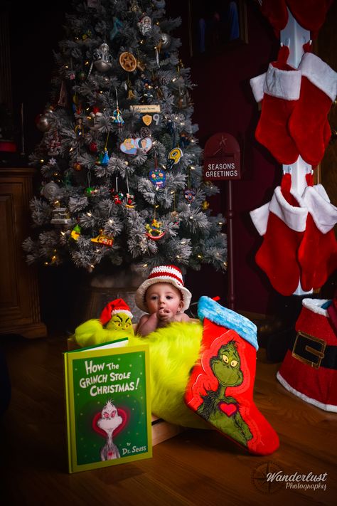 How the grinch stole Christmas infant/baby pictures Grinch Photoshoot Ideas Baby, Grinch Newborn Photoshoot, Grinch Newborn Photos, Grinch Picture Ideas, Baby Grinch Photoshoot, Grinch Baby Photoshoot, Grinch Photoshoot Ideas, Grinch Photos, Grinch Photoshoot