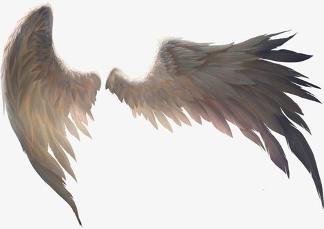 Angelo Guerriero, Wings Png, Angel Wings Art, Wings Drawing, Creation Art, Wings Art, Bird Wings, Gambar Figur, Black Wings