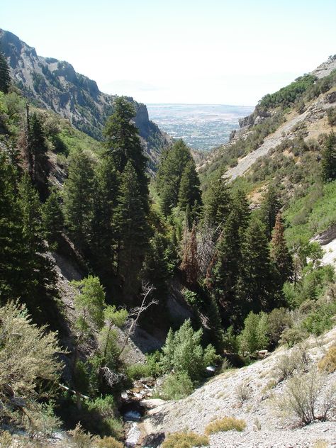 Grove Creek Canyon, Pleasant Grove, Utah Pleasant Grove Utah, Utah Summer, Pleasant Grove, Summer Hike, Utah Hikes, Utah Travel, Utah Photography, Summer Ideas, Oh The Places Youll Go