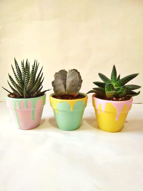 Mini Terracotta Pots, Cute Planters, Plants Cute, Pots Diy, Pots For Plants, Money Plant, Diy Presents, Diy Planters, Terracotta Pots