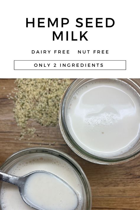 You will be blown away at how easy and inexpensive it is to make your own Hemp Seed Milk. What is hemp seed milk? It's a “milk” made with hemp seeds and water. That’s it! It literally takes 1 minute to make this very healthy, inexpensive milk that is great for smoothies, or topped over granola. Hemp Milk Ice Cream, Hemp Seed Smoothie, Vegan Horchata, Apple Cinnamon Smoothie, Hemp Seed Milk, Cinnamon Smoothie, Pumpkin Spice Granola, Milk Brands, Hemp Milk