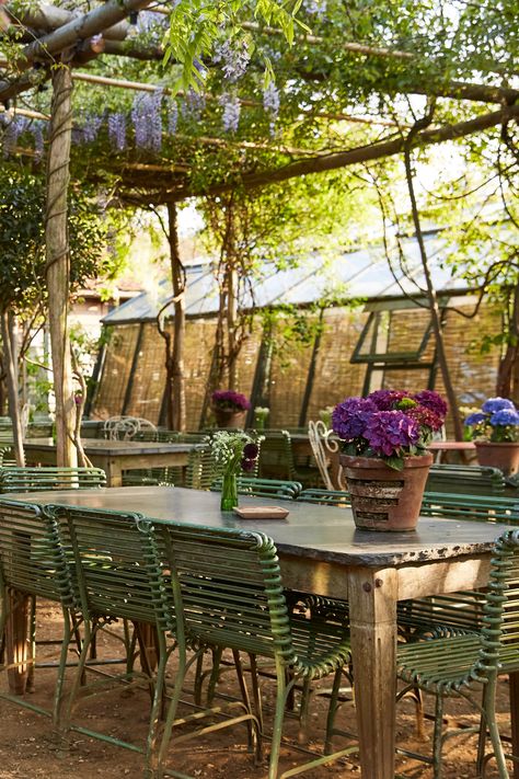 Outdoor Restaurants, Spring Menu, Best Italian Restaurants, Chelsea Garden, Restaurants In London, Greenhouse Interiors, Alfresco Dining, Wooden Gates, Bike Shed