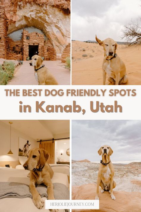 Dog Friendly Travel, Things To Do With Dogs, Dog Friendly Road Trip, Road Trip With Dog, Travel Utah, Dog Hiking, Dog Friendly Vacation, Kanab Utah, Dog Travel Accessories