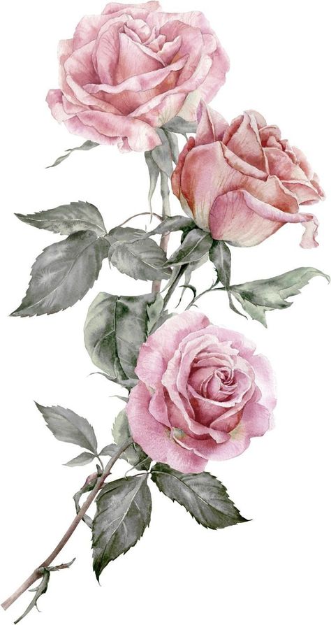 Firefly Painting, Miniature Roses, Bee Painting, Japan Painting, Nature Artwork, 수채화 그림, Flower Art Images, Rose Art, Digital Flowers