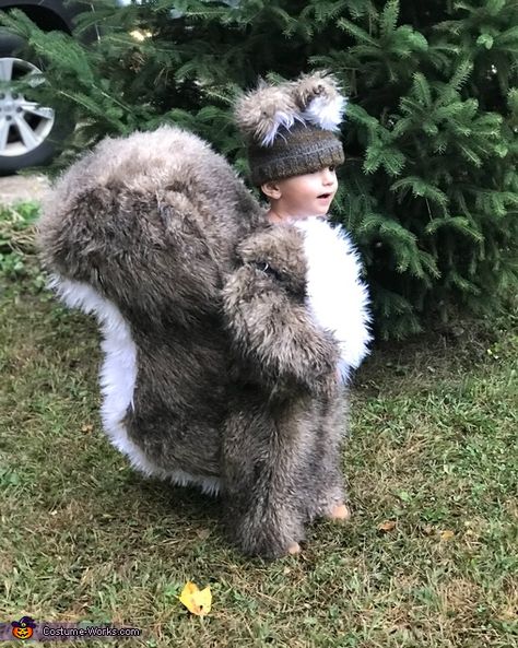 Squirrel Tail Costume, Diy Squirrel Costume, Baby Squirrel Costume, Homemade Animal Costumes, Woodland Animal Costumes, Beaver Costume, Wonka Costume, Squirrel Costume