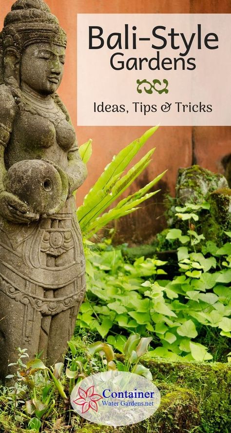 Balinese Style Gardens – Container Water Gardens Bali Style Garden, Bali Gardens, Bali Garden, Balinese Garden, Container Water Gardens, Tropical Landscape Design, Balinese Style, Tropical Garden Ideas, Indian Garden