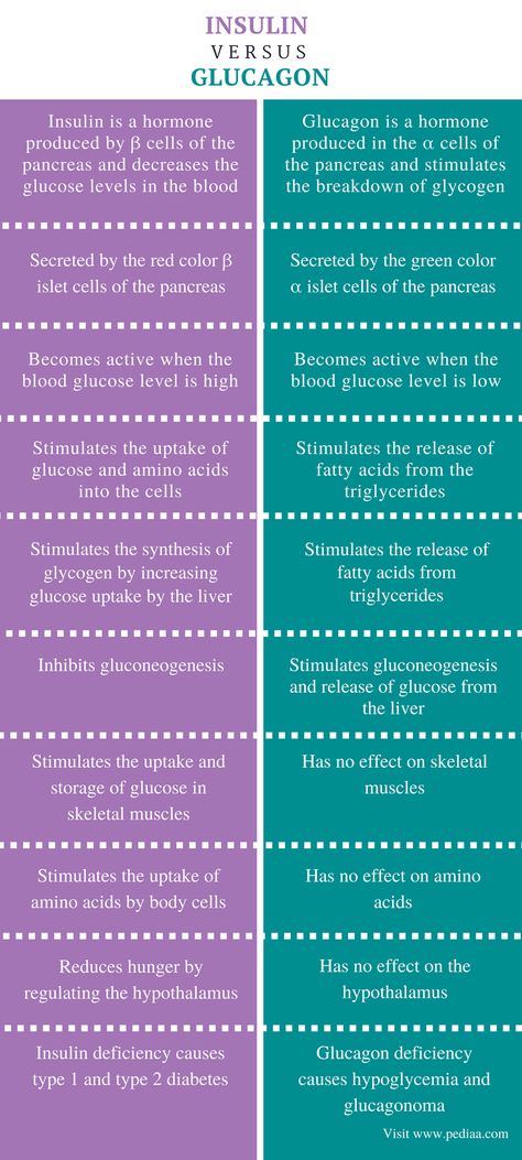 Difference Between Insulin and Glucagon - Comparison Summary Insulin And Glucagon, Biochemistry Notes, Lpn Schools, Nursing School Survival, Medical Facts, Blood Sugar Management, Body Cells, Human Anatomy And Physiology, Biology Notes