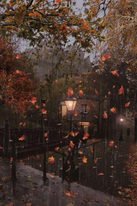 Downpour Aesthetic, Rainy Christmas Aesthetic, Rainy October Aesthetic, Rain Book Aesthetic, Autumn Night Aesthetic, Rainy Autumn Aesthetic, Rainy Fall Night, Nature Rain Wallpaper, Autumn Cozy Rainy Days