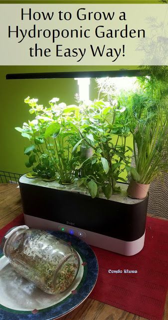 Aero Garden Tips, Diy Indoor Herb Garden, Aero Garden, Hydroponic Herb Garden, Hydroponic Vegetables, Hydroponic Garden, Repurposing Ideas, Aquaponic Gardening, Indoor Herb